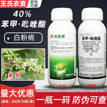 40%��������֬���������������������׷۲����~��̿���rș������