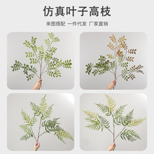 仿真绿植高枝大凤丫蕨槐树叶室内家居装饰摆件假植物造景插花花艺