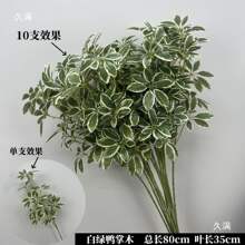 ��cɭϵ�Gɫ���Ļ�Y�õ�픾Gֲ�������������Ż�·�����剾����