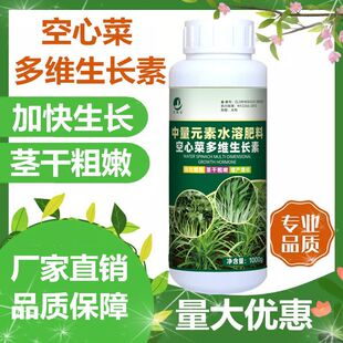 ���Ĳˌ��÷������L�����L��������a����ș���L������~���~���