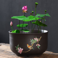 荷花缸莲花陶瓷紫砂大号水培铜钱花盆无孔水养睡莲碗莲盆缸