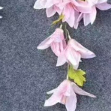 분홍색