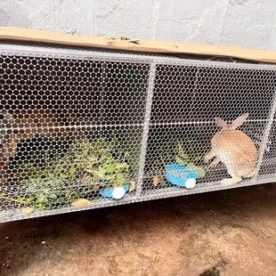 �u�\�û\���ӻ\���\���u�\�B�u�\�Ӽ��ü�������С�u�\���ӻ\�Ӻ�