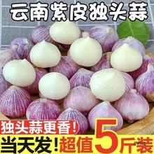 云南紫皮独头蒜10斤新鲜当季独蒜大蒜红皮新蒜干蒜头独子农家腌制