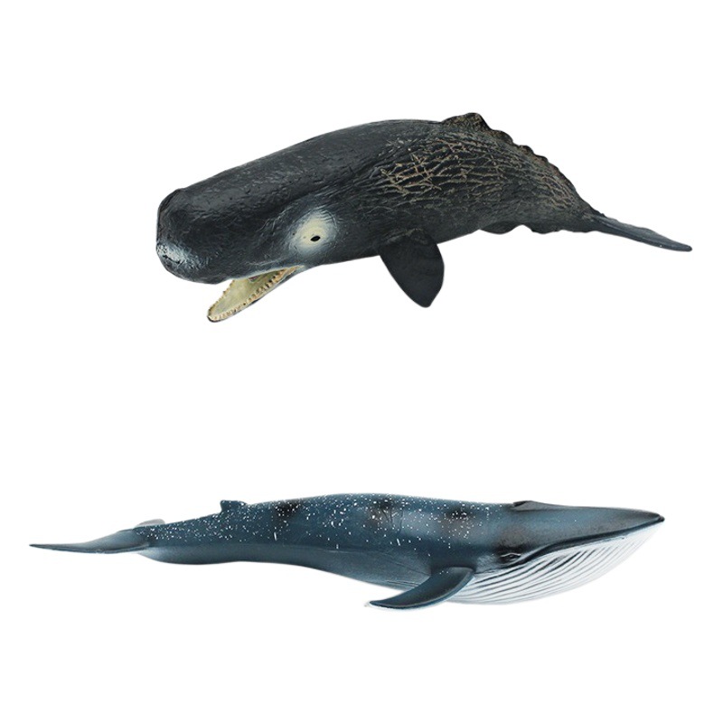 Simulación transfronteriza animal marino modelo de ballena Cognición de los niños criatura submarina cachalote Ballena Azul adornos estáticos