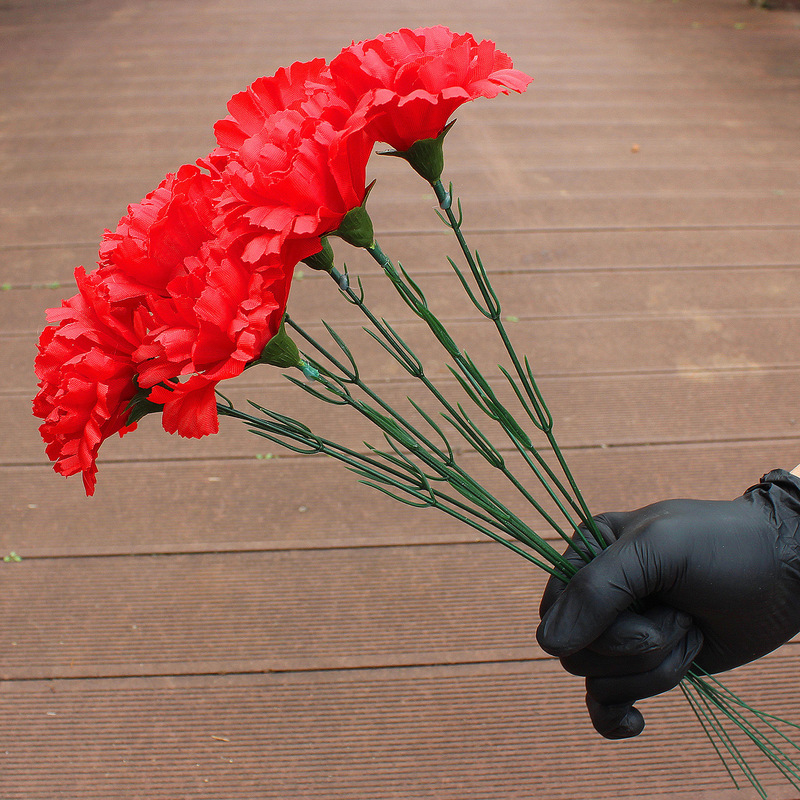 Cheap Red Carnations, Single Carnation, Mother's Day, Teacher's Day Gift Flowers, Promotional Flowers for Events, Women's Day