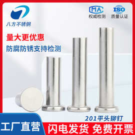 201平头铆钉不锈钢GB109平头实心铆钉手打敲击式3 4 5 6 8 10 12