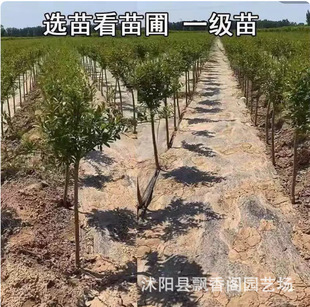 ��Ʒ�N������������޽Ә��Ի��ڷۿ��������Ϸ������Nֲ���Ե���