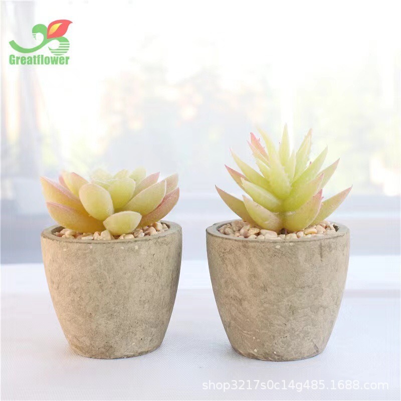 Simulated Succulent Plant Store Decoration Props, Plant Biodegradable Pulp Pots, Biodegradable and Environmentally Friendly Simulated Succulent Plant Store Decoration Props, Plant Biodegradable Pulp Pots, Biodegradable and Environmentally Friendly