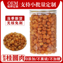 2025��؛���ݹ��A��o��o��������0���ӄ��ݲ��Ҝ���Ʒ�������l