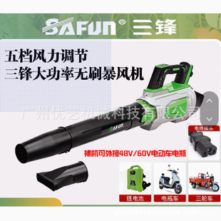 Sanfeng 48V Sf8A516 Brushless Hair Dryer Industrial Grade Rechargeable High Wind Portable Windstorm Hair Dryer