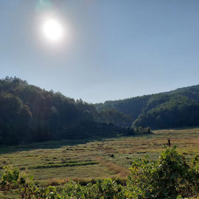 fd49a28f288baad579cf32989e6ebc