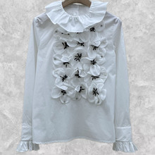 rŮ ¿m͢L͹СLȴrֹw鱡r