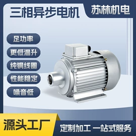 机械用电动机;电动机配件