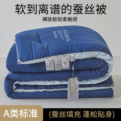 五星级酒店蚕丝被芯空调被春秋被加厚宿舍冬季棉被子母被四季通用