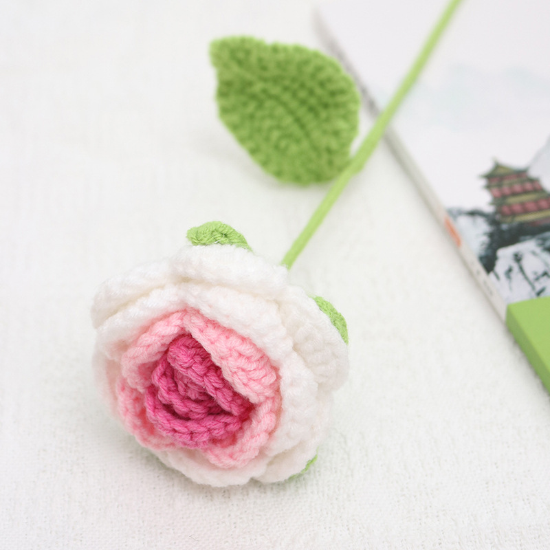 완성 된 장미 그라디언트 로즈