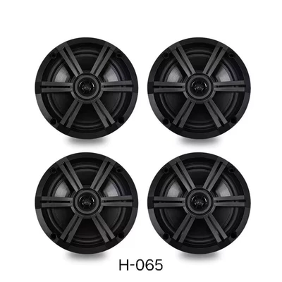 Avtomobil ehtiyat hissələri – cart, beach motorcycle, RV - 4-h-065b-speakers