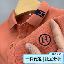 厂家直销夏季男士短袖T恤打底中青年珠地刺绣翻领大码POLO冰丝T恤