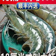 ���u���r�r���ك����󺣲����r�����r���r���r�����r�ك����r