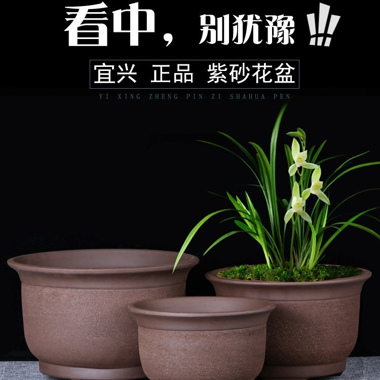 宜兴特大紫砂花盆绿萝盆景多肉种菜兰花盆圆口陶瓷盆|undefined