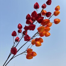 ��ĭ���\�����滨����ʽ�Ҿ��b[������͏d�b��＾�쾰�ٻ�