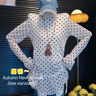 2025＾Ʒn|Tccߏ19816