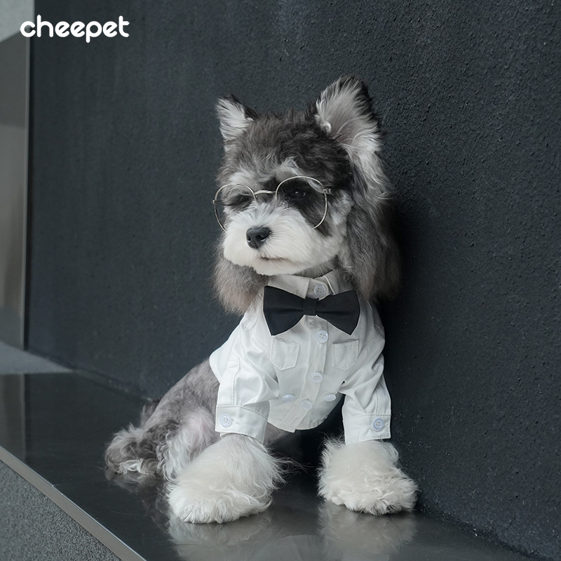 Pet four -seasons pure white tie shirt Shineri Malzis dog festival official lapel two leg dresses 2