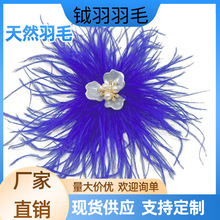 2026�¿��r�Bë�ػ���̨�ݳ����b��������ë�l�A���Ż�Y�Ɍ�