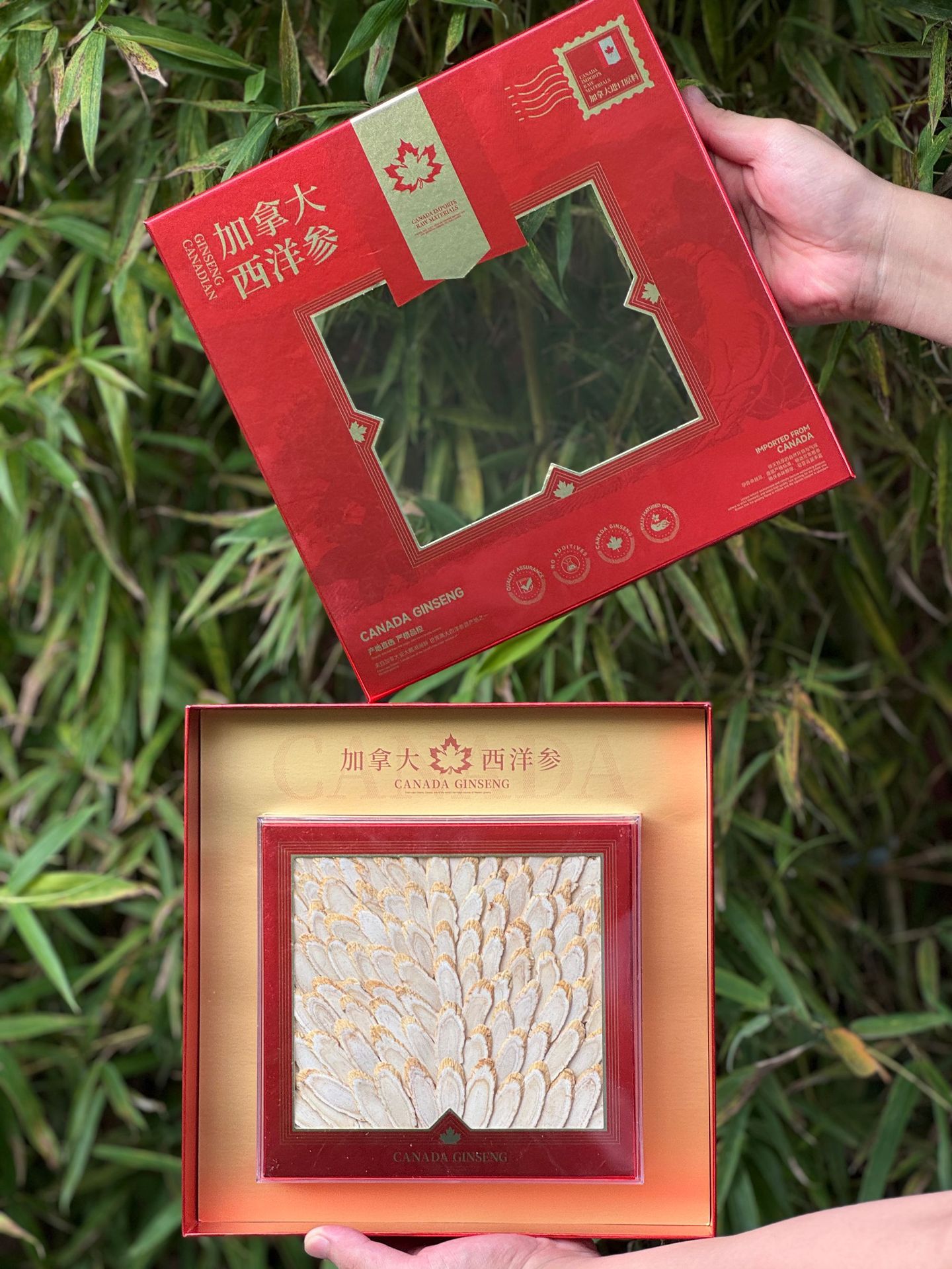 Canadian American Ginseng Slices Gift Box Large Slices 100g Dried Herbal Root for Soup and Tea key features