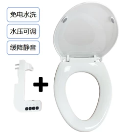 智能马桶盖;普通马桶盖;马桶喷枪