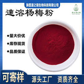 杨梅粉 可寄样 速溶杨梅果粉 冻干粉 源之锦厂家现货供应 量大价