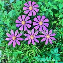 �羳�¿�ʻ滨��Բ�������������ܣ���������װ�����ջ���ز�