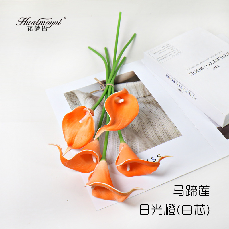 칼라 릴리-선샤인 오렌지(화이트 코어)