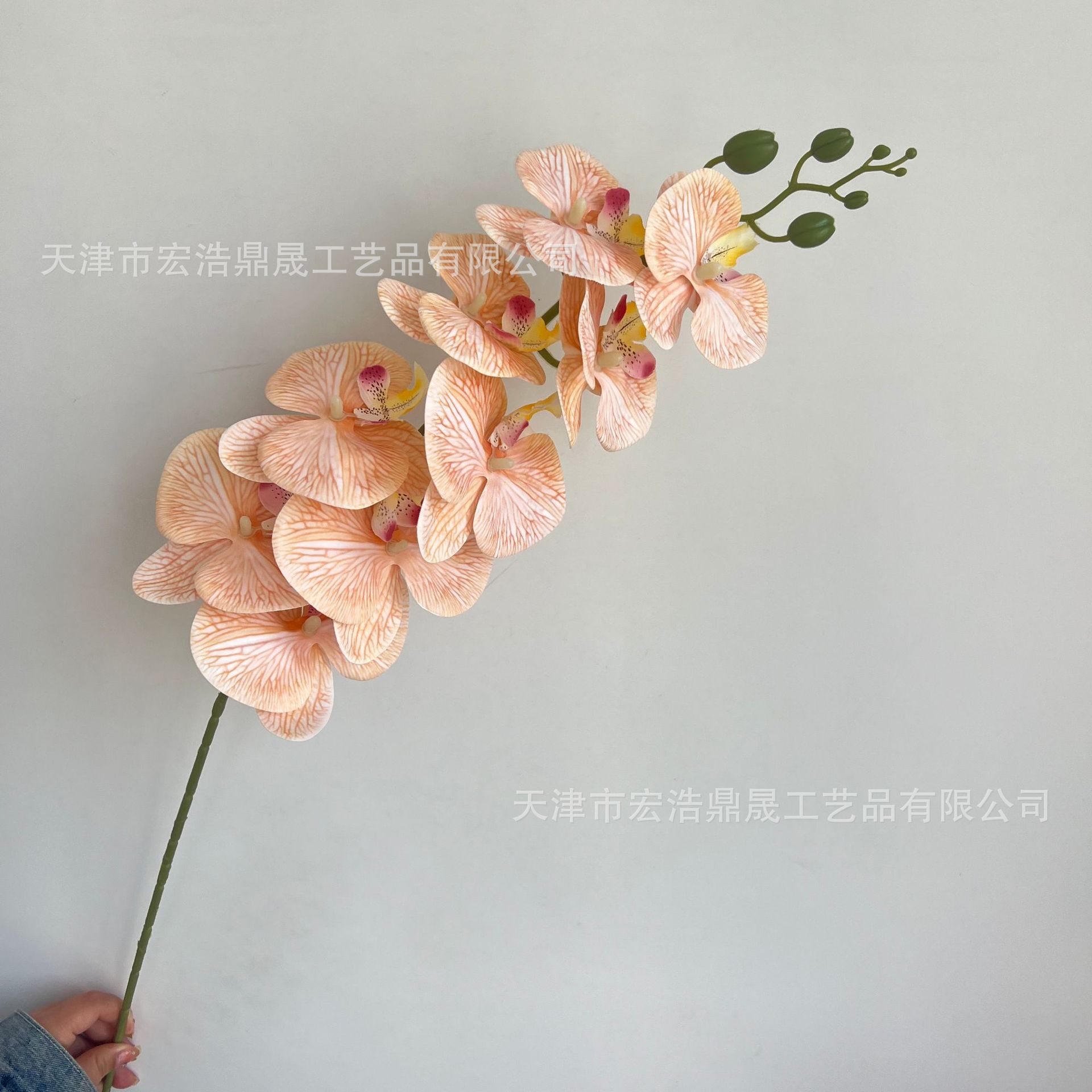 adc54ab2ebde619a57a27d140e5303