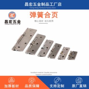 Factory Direct Supply closed Spring hinge automatic rebound hinge torsion spring hinge 1 inch 2 inch 3 inch 4 inch 304