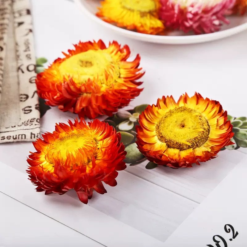 Seven Color Chrysanthemum Dried Flowers Qi Cai Ju Herbal Tea 500g Yunnan Wholesale quality and texture