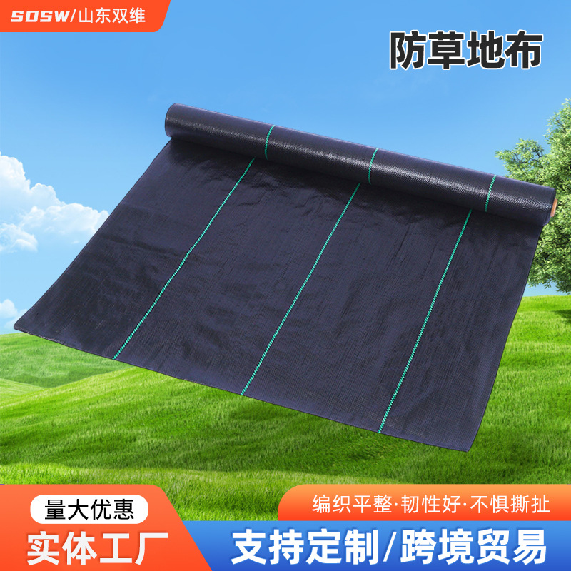 跨境防草地布园艺防草布透水除草布农用黑色果树布片园艺盖草布