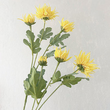 ���滨С�����f�۾��Pβ��̨��[���OӋܛ�b�������������ٻ����l