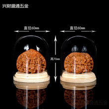 ������������Һ��J�ϙ��΢���^չʾ͸��������