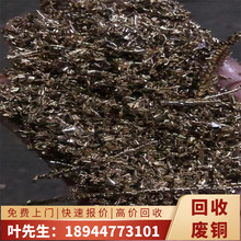 I̎SUS~~߅  ߃rTՏU~  r