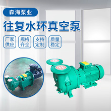 供应往复水环式真空泵2BV不锈钢S304引水泵气泵