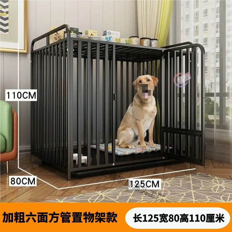 900d39a0-95ad-4ccd-ba4e-224116072a62.jpe