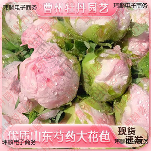 ˮ�B����ș�F��ĵ���r���ذ�������l�����󻨰��r�����ֱ�lɽ�|