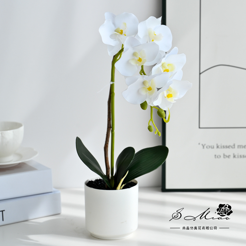 7 flores orquídeas mariposa bonsai creativo decoración del hogar fotografía flores artificiales flores de boda pequeños adornos fabricantes