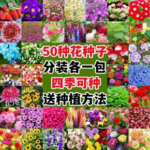 �羳�����ļ�ͨ�û��ѻ��ܷN�Ӽ��È@ˇ�N�Ӹ߰lѿС���b60�N��