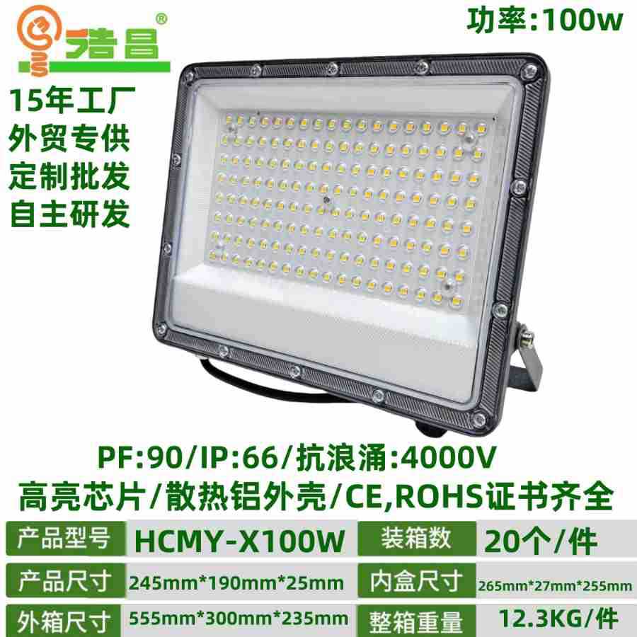 100W主图-1.jpg