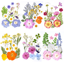 干花材料包diy永生花压花片手工滴胶书签真花台灯树叶标本樱花