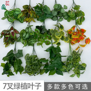 7�滨�}�~ �L֦5��t�K�ع� ���@�쾰�^�Gֲ�ٻ� �����b��滨