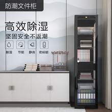 LENTHEM电子防潮文件柜DW-600D单门办公档案资料柜字画邮册收藏柜