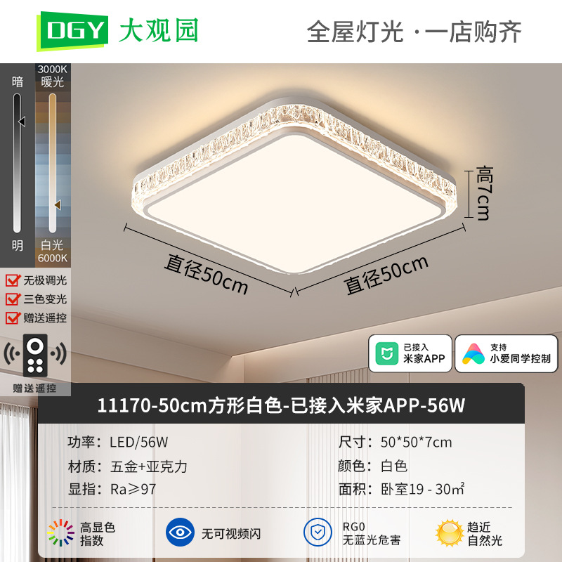 Luz de techo de sala de estar moderna y simple nueva luz de lujo de alto nivel, luz de techo de protección de ojos de espectro completo 293L